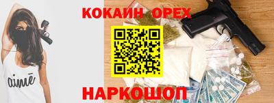 сатива Кингисепп