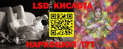 сатива Кингисепп
