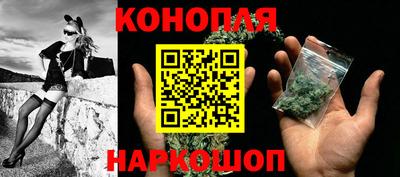 сатива Кингисепп