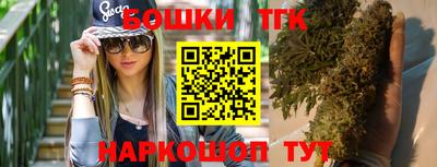 сатива Кингисепп