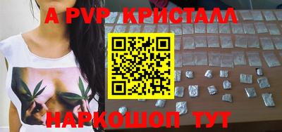 сатива Кингисепп