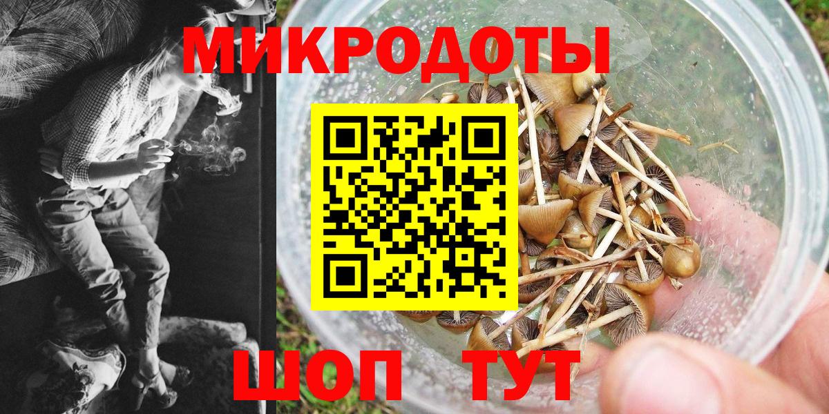 Кизляр  Псилоцибиновые грибы ЛСД  Вход с VPN 