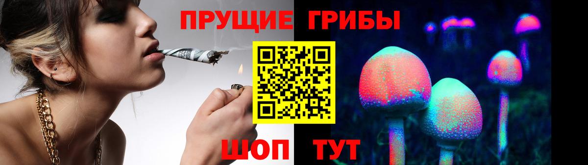 Галлюциногенные грибы Psilocybine cubensis Кизляр